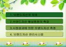 브랜드자산관리(상표관리, 브랜드관리)의 정의, 의의, 브랜드자산관리(상표관리, 브랜드관리)의 과정, 항목, 브랜드자산관리(상표관리, 브랜드관리)의 유의사항, 사례, 브랜드자산관리(상표관리, 브랜드관리) 전략 2페이지
