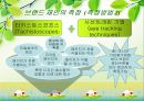 브랜드자산관리(상표관리, 브랜드관리)의 정의, 의의, 브랜드자산관리(상표관리, 브랜드관리)의 과정, 항목, 브랜드자산관리(상표관리, 브랜드관리)의 유의사항, 사례, 브랜드자산관리(상표관리, 브랜드관리) 전략 12페이지