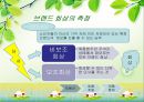 브랜드자산관리(상표관리, 브랜드관리)의 정의, 의의, 브랜드자산관리(상표관리, 브랜드관리)의 과정, 항목, 브랜드자산관리(상표관리, 브랜드관리)의 유의사항, 사례, 브랜드자산관리(상표관리, 브랜드관리) 전략 13페이지