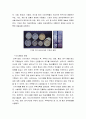 주거문화와 주거의 기능 및 시대별 주거사(구석기 시대, 신석기 시대, 청동기 시대, 철기 시대, 삼국시대의 주거, 고려시대의 주거) 19페이지