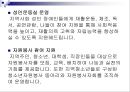 장애인복지 개념,주요이념, 장애인복지 특성, 장애인복지 발달원인, 장애인 실태, 장애인 소득보장정책 현황,문제점, 장애인을 위한 의료 서비스의 문제, 장애인과 재활, 장애인복지 사업 내용, 장애인복지 과제 19페이지