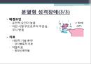 , 편집성, 분열성, 분열형 성격장애의 특징, 요인, 치료방안 13페이지