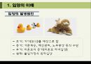 [★★입양의 문제와 과제★★] 입양의 역사와 현황 및 문제점과 입양 가족, 전망, 해결방안 레포트 5페이지