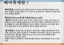 [배아복제 반대의견] 배아복제의 의미, 배아복제의 문제점, 배아복지 사례 3페이지