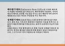 [배아복제 반대의견] 배아복제의 의미, 배아복제의 문제점, 배아복지 사례 4페이지