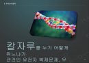 [배아복제 찬성의견] 배아복제의 의미, 배아복제의 문제점, 배아복지 사례 14페이지