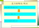 [조기유학] 조기유학의 원인과 실태 및 조기유학에 따른 문제점 대책방안 4페이지