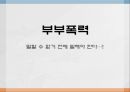 [현대 사회 문제] 부부간 폭력의 실태와 문제점 및 부부폭력 극복방안 1페이지