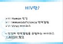 [AIDS] 에이즈의 원인, 감염경로, 증상, 검사, 치료, 예방방안 레포트 18페이지