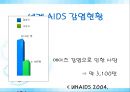 [AIDS] 에이즈의 원인, 감염경로, 증상, 검사, 치료, 예방방안 레포트 27페이지