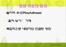 _정의,_역사,_원리,_특성,_단계_및_예시_분석 5페이지