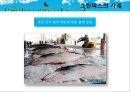 [NGO기관] NGO기관 그린피스 연혁, greenpeace 사업분석, greenpeace 분석, 기관 분석등 7페이지