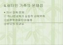 가족의 원인과 현황, 새터민 가족의 사례 및 문제점과 새터민 가족의 개선 방안 8페이지