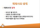 마더 테레사(Teresa) 테레사의 어록, 생애, 강점 분석, 기타이론과 연관.PPT자료 5페이지