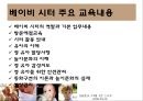 베이비 시터(baby sitter) (베이비 시터의 정의, 자격, 베이비 시터의 업무, 활동).PPT자료 10페이지