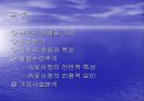 창업계획서 - 속옷 전문점 사업계획서 작성 2페이지