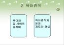 한국사회 직장 내에서의 여성인권의 실태와 문제점 및 여성인권 보호 방안 10페이지