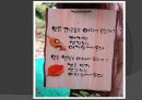 현 교육의 실태와 문제점 및 올바른 교육 방안 7페이지