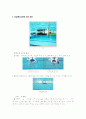 수영 - 자유형(Crawl)의 정의 및 특징, 훈련 과정 & 배영(Backstroke)의 정의 및 특징, 훈련 과정 3페이지