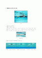 수영 - 자유형(Crawl)의 정의 및 특징, 훈련 과정 & 배영(Backstroke)의 정의 및 특징, 훈련 과정 7페이지
