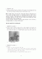[실크로드 레포트]  13페이지