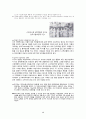 [실크로드 레포트]  20페이지