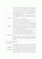 spa브랜드의 기존 마케팅 전략과 내가 만든 새로운 전략 3페이지
