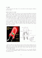 [물리보고서] 디스플레이장치에 관하여 -CRT, LCD, PDP, LED와 그 밖의 차세대 디스플레이 9페이지