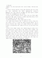 금속조직관찰 (연구배경 및 목적, 관련이론, 실험방법, 결과 및 고찰) 7페이지