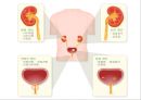비뇨기계 질환과 간호 (신장 결석, 요관결석, 요로감염, 신장암, 방광염, 방광암, 과민성 방광, 요실금, 방광 결석, 방광요관역류, 전립선 비대증, 전립선염, 전립선 암, 음낭 질환, 고환암, 요도 협착).pptx 2페이지