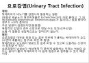 비뇨기계 질환과 간호 (신장 결석, 요관결석, 요로감염, 신장암, 방광염, 방광암, 과민성 방광, 요실금, 방광 결석, 방광요관역류, 전립선 비대증, 전립선염, 전립선 암, 음낭 질환, 고환암, 요도 협착).pptx 20페이지