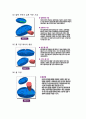 [금형제작실험] CAD/CAM/CAE 통합 금형제작용 시스템, Space-E 시리즈 & 가공경로(Tool Path)의 종류 & 5축 가공(5-Axis Machining) 특징과 사례 & Power Mill & 금형산업의 경쟁력 15페이지