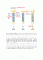 단백질 정제,전기영동, 크로마토 그래피 5페이지