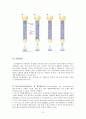 단백질 정제,전기영동, 크로마토 그래피 6페이지
