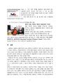 페덱스(FedEx)의 국제물류 전략 (글로벌 물류 기업의 중요성과 기대효과, FedEx의 서비스, FedEx의 Hub and Spoke 시스템, FedEx의 성공요인, FedEx의 마케팅전략) 7페이지