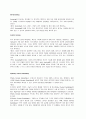 Interational Strategy 내용 요약 및 분석  10페이지