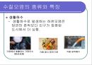 수질오염 ppt 6페이지