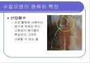 수질오염 ppt 7페이지
