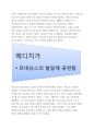 르네상스의 시작 (이탈리아, 메디치가) 2페이지