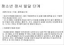 이성교제와 데이트폭력 (A+)발표.PPT자료 8페이지