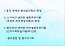 [인간행동과 사회환경 (Human Behavior and Social Environment)] 성격심리학이론 - 융, 스키너, 반듀라(융의 생애와 분석심리학, 스키너의 생애와 행동주의이론, 반두라의 생애와 인지행동주의이론).pptx
 2페이지