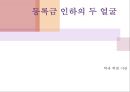 [5분 스피치]등록금 인하의 두 얼굴 올바른 대학 등록금 인하 방안_ 등록금 인하 속 비밀 1페이지