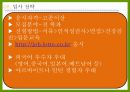 롯데자이언츠 마케팅분석 30페이지