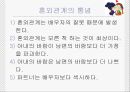 혼외관계.ppt자료 7페이지