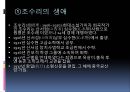 현대문학 - 조수리와 소이흑의 결혼 2페이지