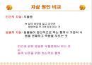 동물의 자살에 대해서 5페이지