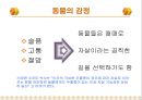 동물의 자살에 대해서 7페이지