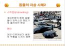 동물의 자살에 대해서 13페이지