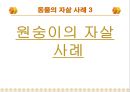 동물의 자살에 대해서 14페이지