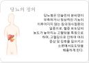 [건강교육] 당뇨에 대해서 3페이지